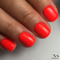 a20fe236 193e 4ad2 9b6b 3631063c2444